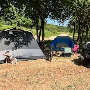 High View at The Brazos River