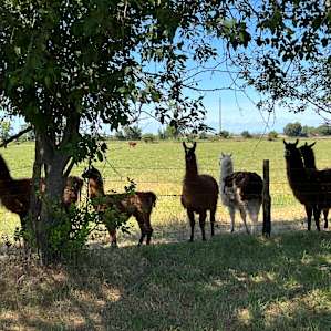 Walden Ranch Camping