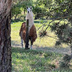 Walden Ranch Camping