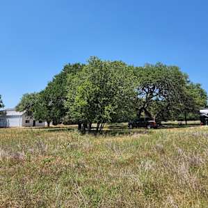 Lazy H Ranch