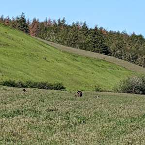 Carbon Farm Yard