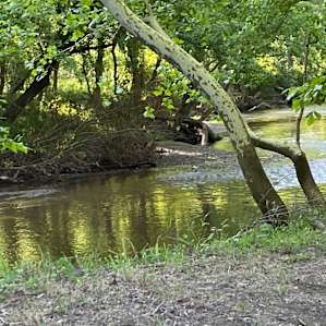 Right on the creek! So beautiful!