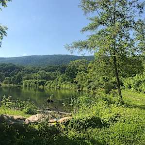 Lakeside Mountain Stream