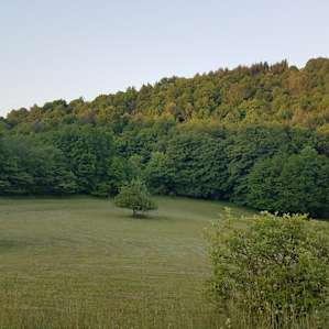 Well maintained property