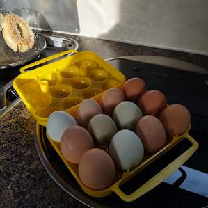 Fresh eggs from Lisa