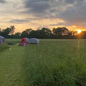Meadow Camping
