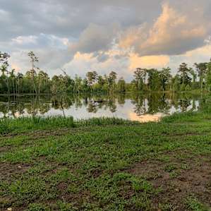JCO Lake View Tent Camping