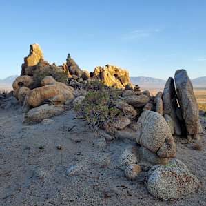 Hilltop Glamping with Joshua Trees