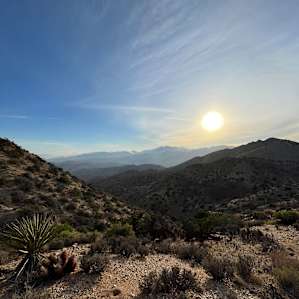 Desert Views