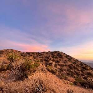 Desert Views