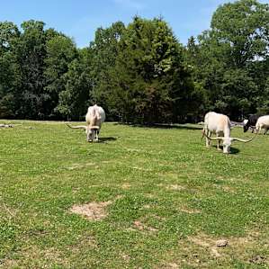 Hagood Farms and Trails