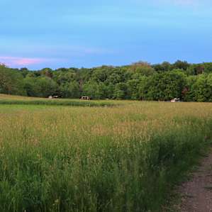 Field look towards sites 1 & 2