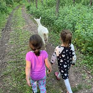 A very friendly goat that wanted to hike around with the girls. I