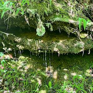 Hillbilly Hippie Hideaway