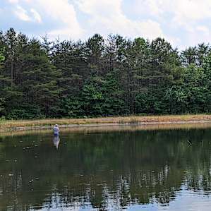 Woodybrooke 4 stocked Ponds Farm