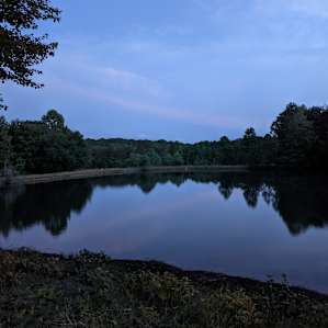 Woodybrooke 4 stocked Ponds Farm
