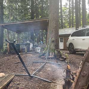The Mini Forest Cabins