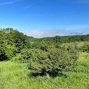 The view from the barn above the parking site.