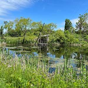 One of the ponds on site.