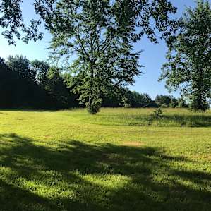 Tastefully wild meadows