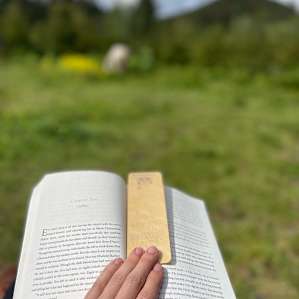 Reading with the horses of a beautiful morning at camp.