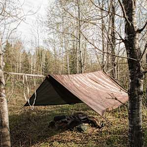 We found some great trees to set up our hammocks for the night!