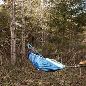 We found some great trees to set up our hammocks for the night!