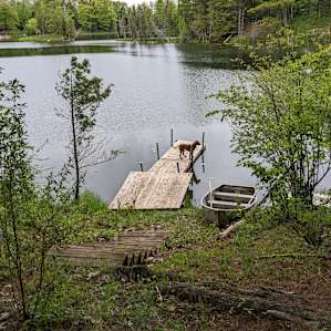 Perryn's Cabin on the Water