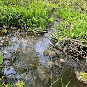 Fun creek to visit