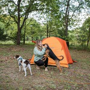 Our dogs loved the campsite!
