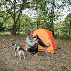 Our dogs loved the campsite!