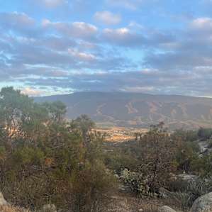 View from the site