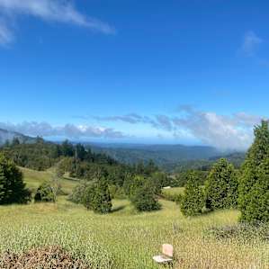 Never Ending Views