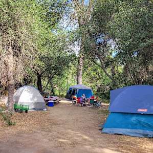 Canopy campsite