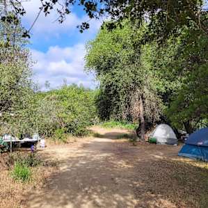 Path to the beach next to Canopy campsite
