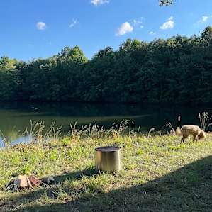 Woodybrooke 4 stocked Ponds Farm