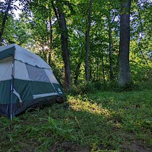 Rustic woods camping/RV field park