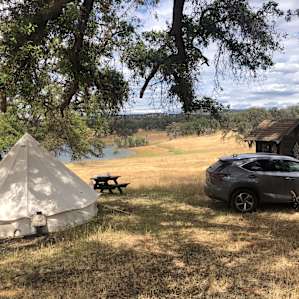Tent # 5 - Blue Oak