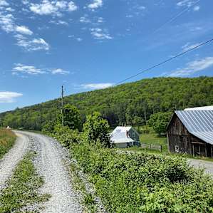 Bunk Cabins at Milldale Farm