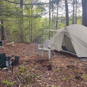 Camp Escape: Gilligan's Island