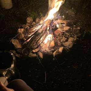 Wilderness Stream Magic