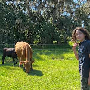Max and the Cows