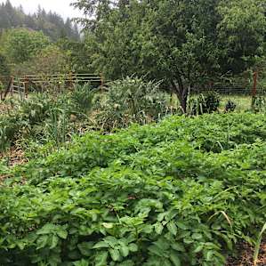 Beautiful gardens everywhere