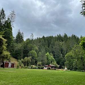 #1Glamping Safari Tent on Creek