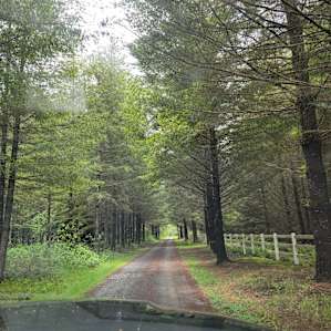 Lis-Bon Acres Boondock ~ H/U extra