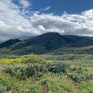 Retro Star Ranch - The Knoll