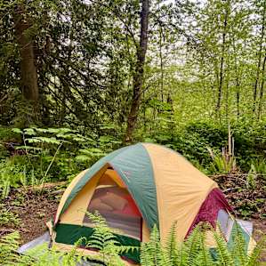 Hollyhock Farm Cozy Camp