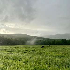 Red House Ranch Camp