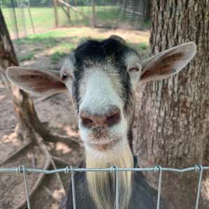 Mana Farm Davis LLC