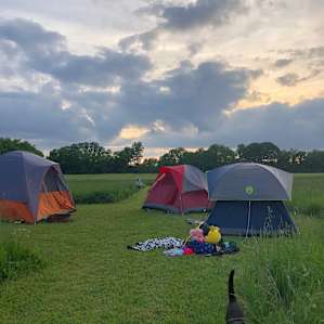 Meadow Camping
